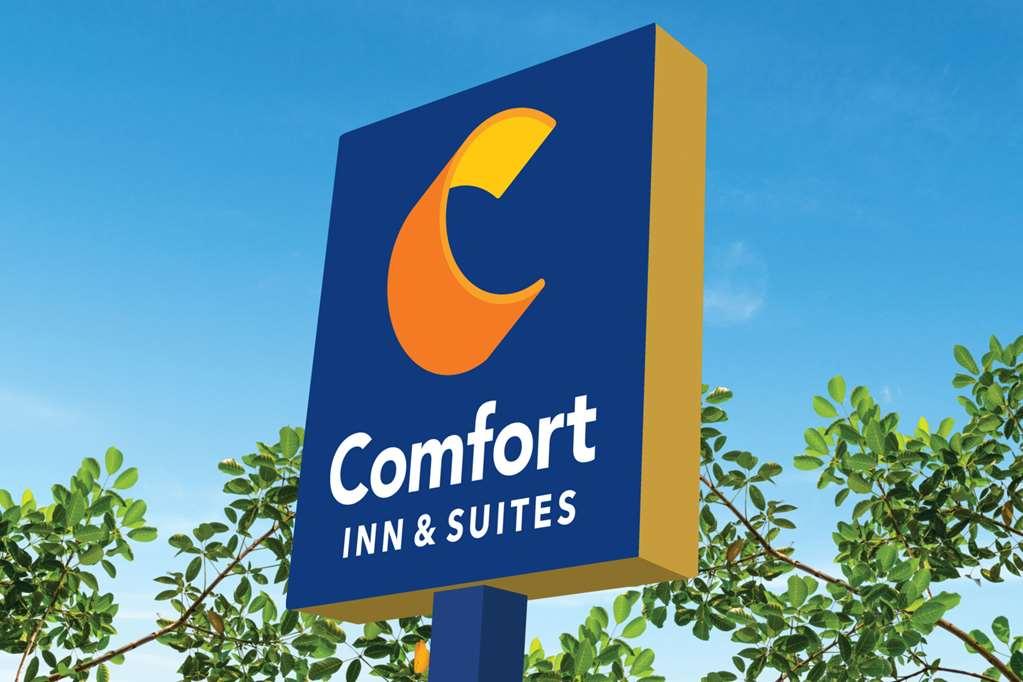 Comfort Inn & Suites Houma Kültér fotó